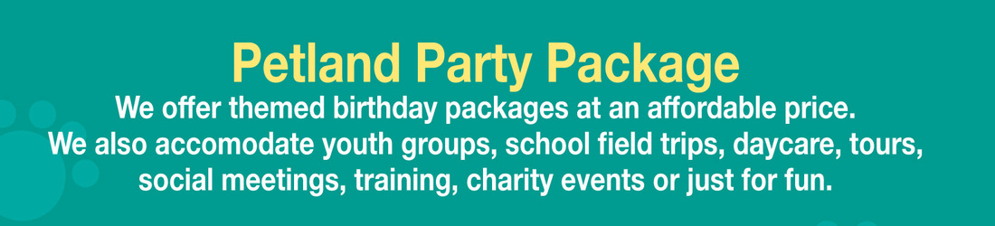 party package 1